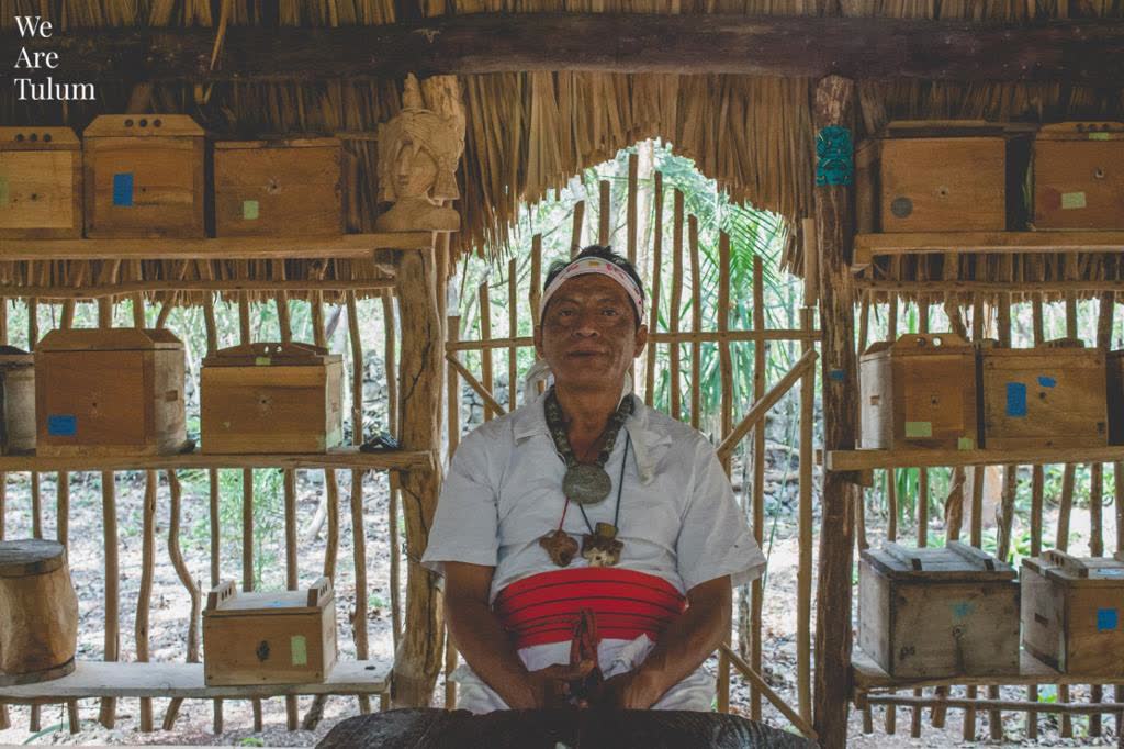 Apicultor maya con colmenas de melipona