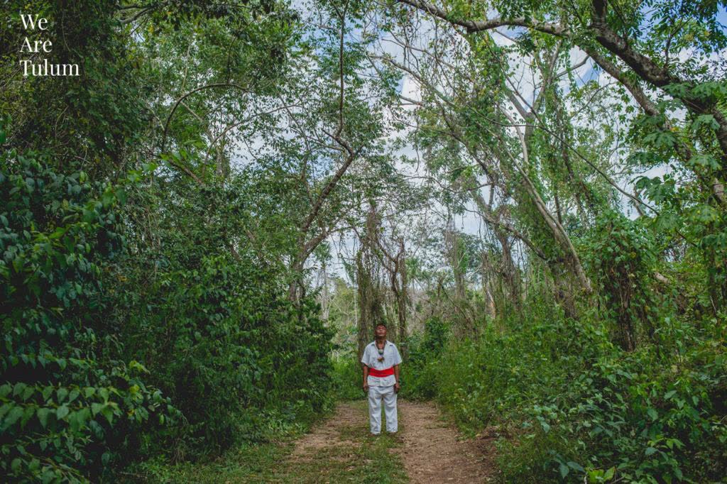 Sendero de selva en Tulum recorrido por un hombre maya